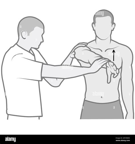 anterior labral tear shoulder test|positive shoulder labral tear test.